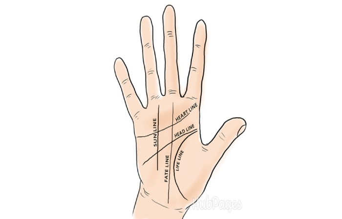 Why is Palmistry Says Important_