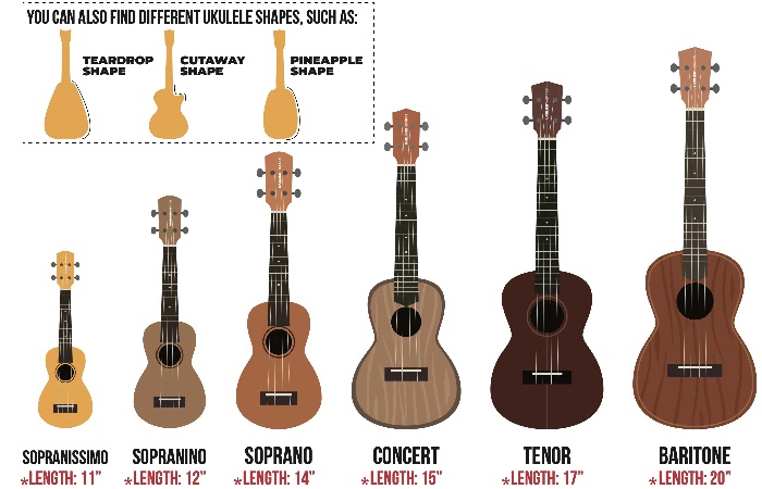 types of ukulele sizes